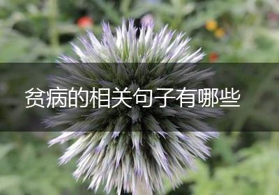 贫病的相关句子有哪些