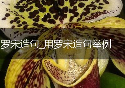 罗宋造句_用罗宋造句举例