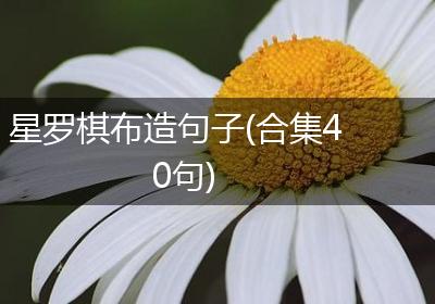 星罗棋布造句子(合集40句)