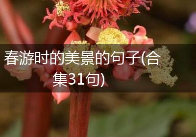 春游时的美景的句子(合集31句)