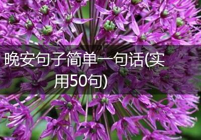 晚安句子简单一句话(实用50句)