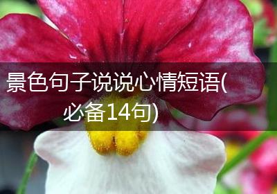 景色句子说说心情短语(必备14句)
