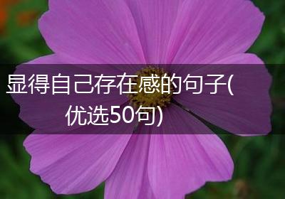 显得自己存在感的句子(优选50句)