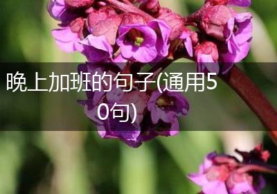 晚上加班的句子(通用50句)