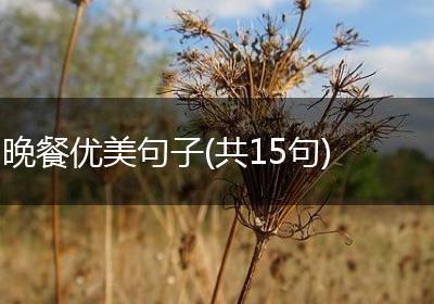晚餐优美句子(共15句)