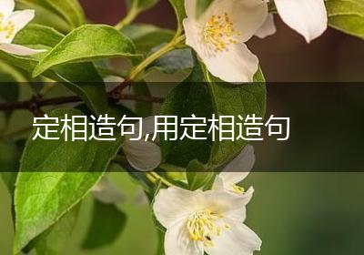 定相造句,用定相造句