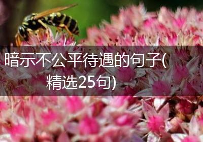 暗示不公平待遇的句子(精选25句)