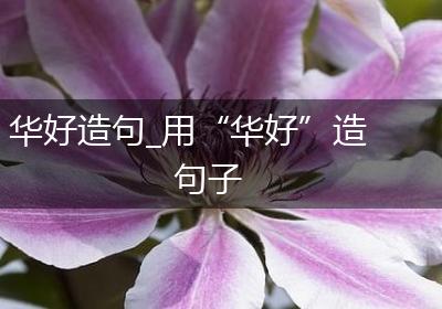 华好造句_用“华好”造句子