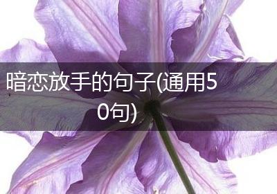 暗恋放手的句子(通用50句)