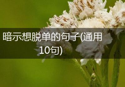 暗示想脱单的句子(通用10句)