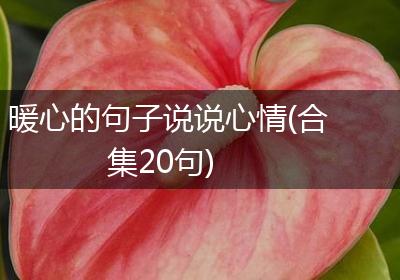 暖心的句子说说心情(合集20句)