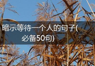 暗示等待一个人的句子(必备50句)