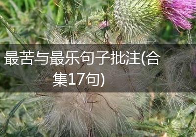 最苦与最乐句子批注(合集17句)