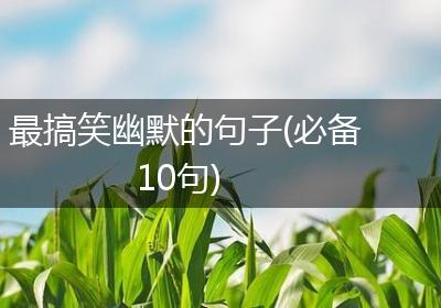最搞笑幽默的句子(必备10句)