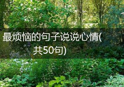最烦恼的句子说说心情(共50句)