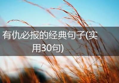 有仇必报的经典句子(实用30句)