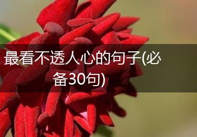 最看不透人心的句子(必备30句)
