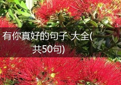 有你真好的句子 大全(共50句)