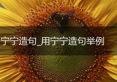 宁宁造句_用宁宁造句举例