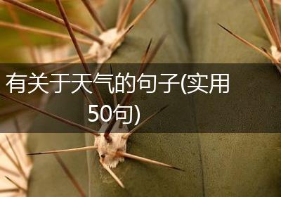 有关于天气的句子(实用50句)