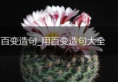 百变造句_用百变造句大全