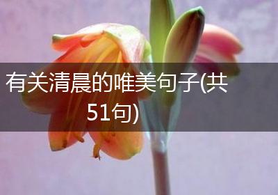 有关清晨的唯美句子(共51句)