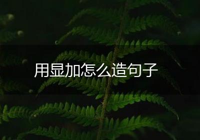 用显加怎么造句子