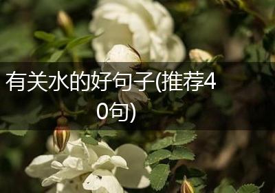 有关水的好句子(推荐40句)