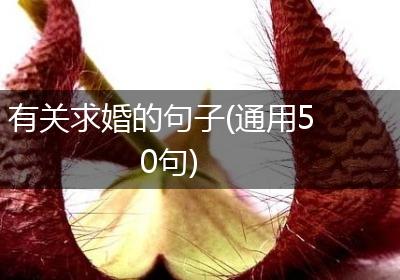 有关求婚的句子(通用50句)