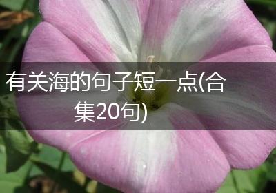 有关海的句子短一点(合集20句)