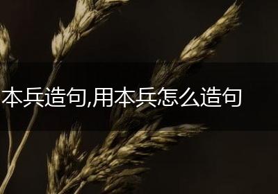 本兵造句,用本兵怎么造句