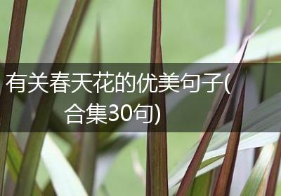 有关春天花的优美句子(合集30句)