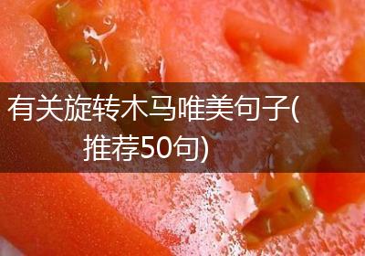 有关旋转木马唯美句子(推荐50句)