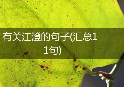 有关江澄的句子(汇总11句)