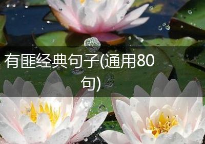 有匪经典句子(通用80句)