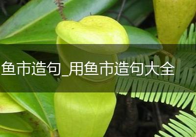 鱼市造句_用鱼市造句大全