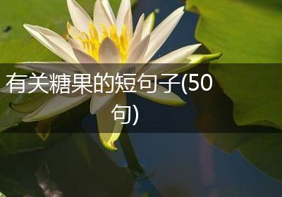 有关糖果的短句子(50句)