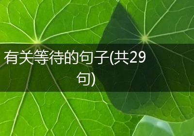 有关等待的句子(共29句)