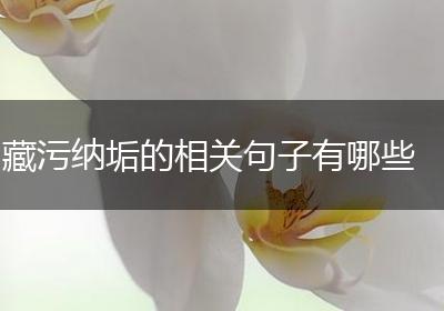 藏污纳垢的相关句子有哪些