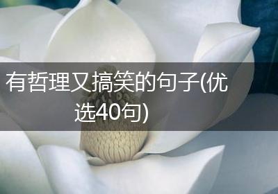有哲理又搞笑的句子(优选40句)