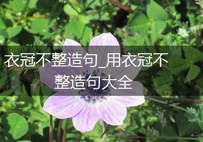 衣冠不整造句_用衣冠不整造句大全