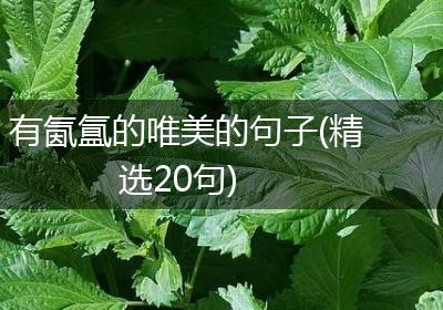有氤氲的唯美的句子(精选20句)
