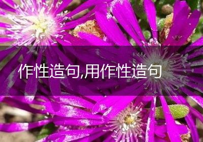 作性造句,用作性造句