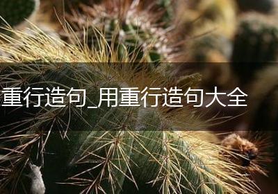 重行造句_用重行造句大全