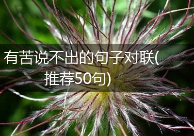 有苦说不出的句子对联(推荐50句)