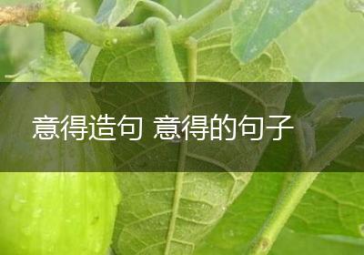 意得造句 意得的句子