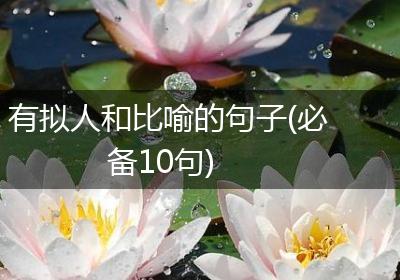 有拟人和比喻的句子(必备10句)
