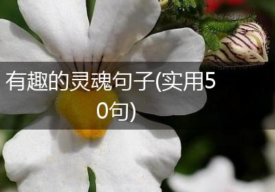 有趣的灵魂句子(实用50句)