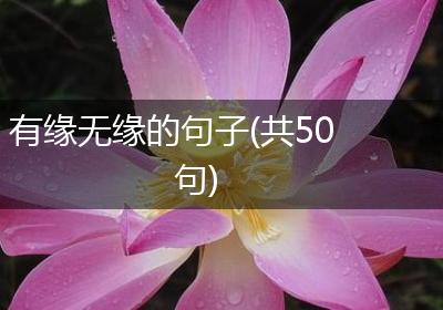 有缘无缘的句子(共50句)