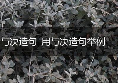 与决造句_用与决造句举例